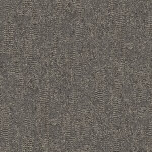 Imperfect Path Tile Contrast  01506