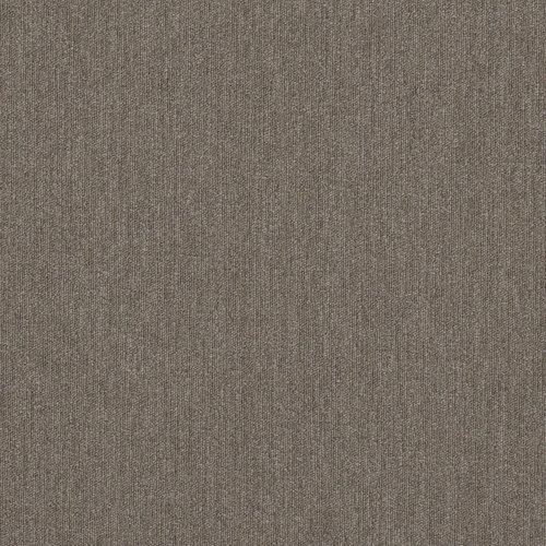 Ambition IV 26 Chamois 00200