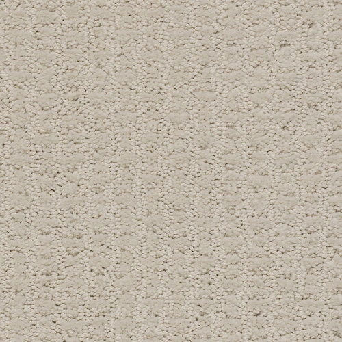 Scenery Moment 00172