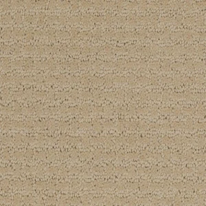 Scenery Neighborhood 00182