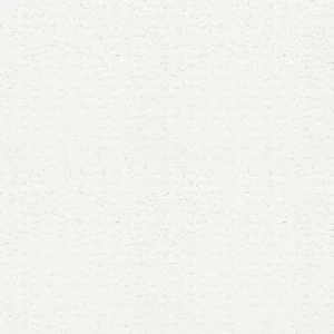 Scenery Setting 00170