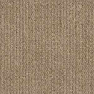 Statement Allusion 00724
