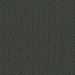 Statement Character 00449