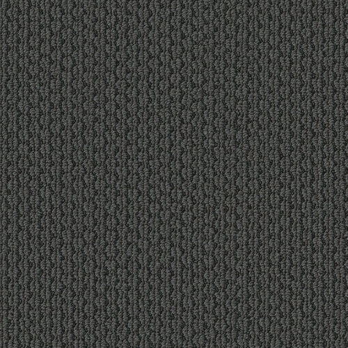 Statement Character 00449