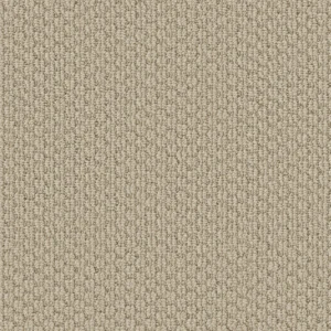Statement Dynamic 00132