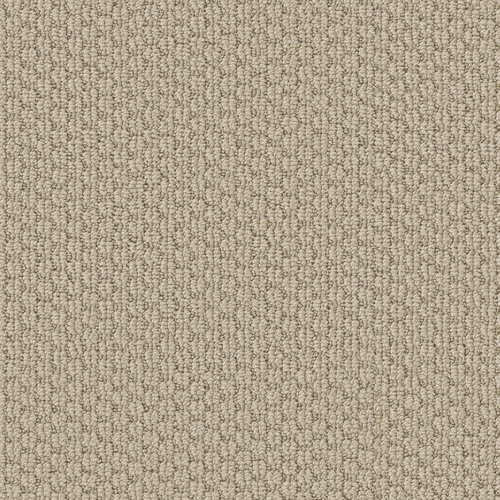 Statement Dynamic 00132