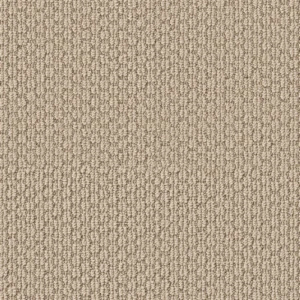 Statement Fresh 00114