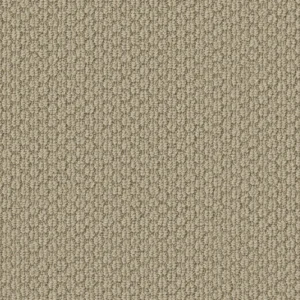 Statement High Regard 00225