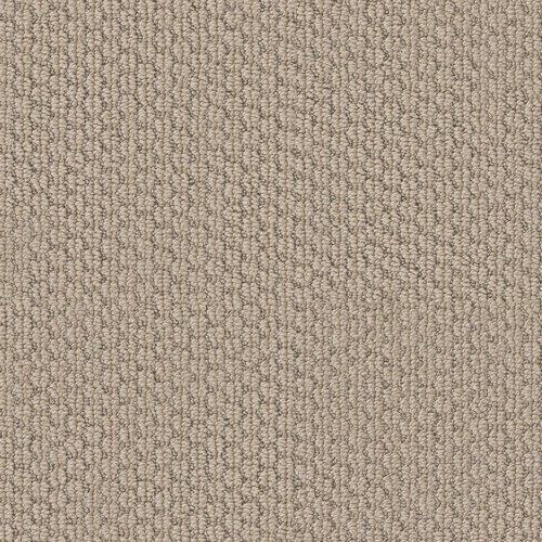 Statement Insight 00162