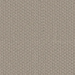 Statement Intuition 00170