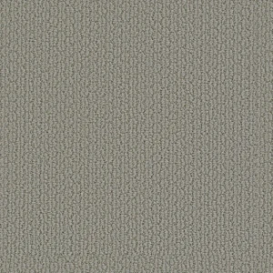 Statement Presence 00523