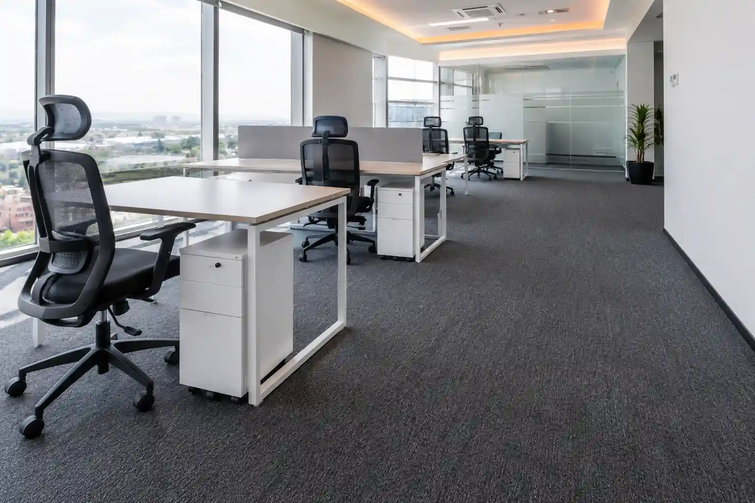Alfombra en Rollo para Oficinas en Lomas de Angelópolis Alfombrashop.mx Descubre nuestro proyecto de 1,200 m² de alfombra en rollo gris de alto tránsito en Lomas de Angelópolis. Reducción de ruido y elegancia corporativa ideal para oficinas ejecutivas. ¡Cotiza hoy!