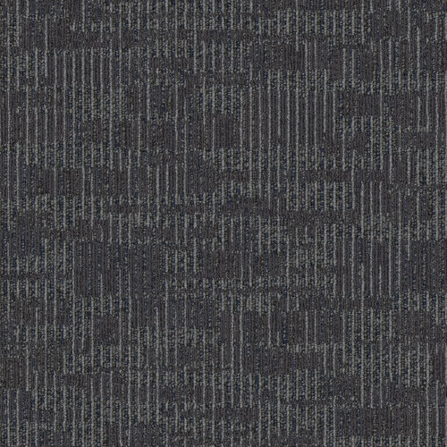 Birch Urban 72557