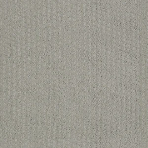 Sentiment Harmony 00512
