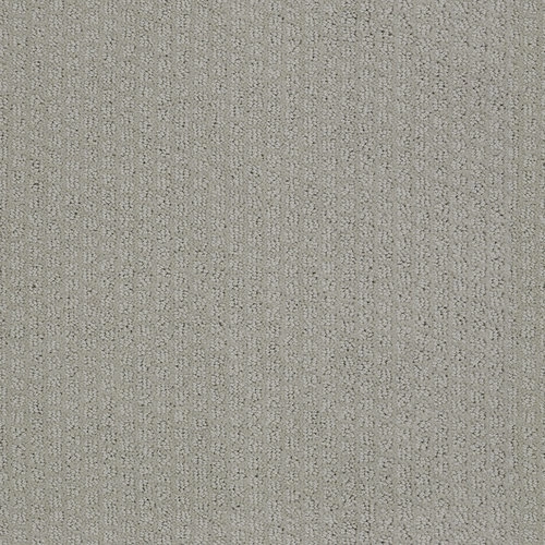 Sentiment Harmony 00512