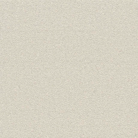 Base Metal Woven Cararra Silver 18100